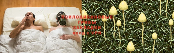 гашиш Каменногорск